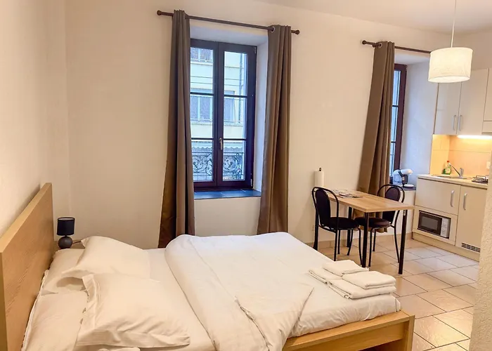 Center Apartment Vevey